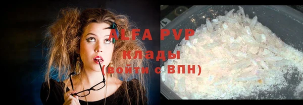 спиды Вязьма