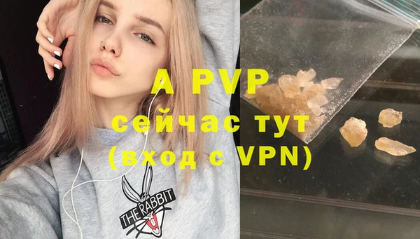 спиды Вязьма