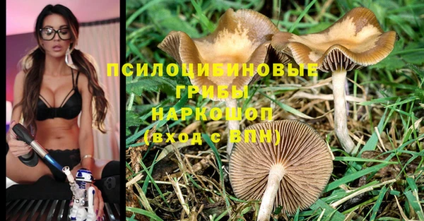 a pvp Володарск
